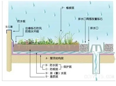 雨水收集回用的幾種方法